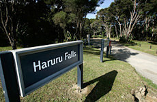 Haruru Falls Reserve